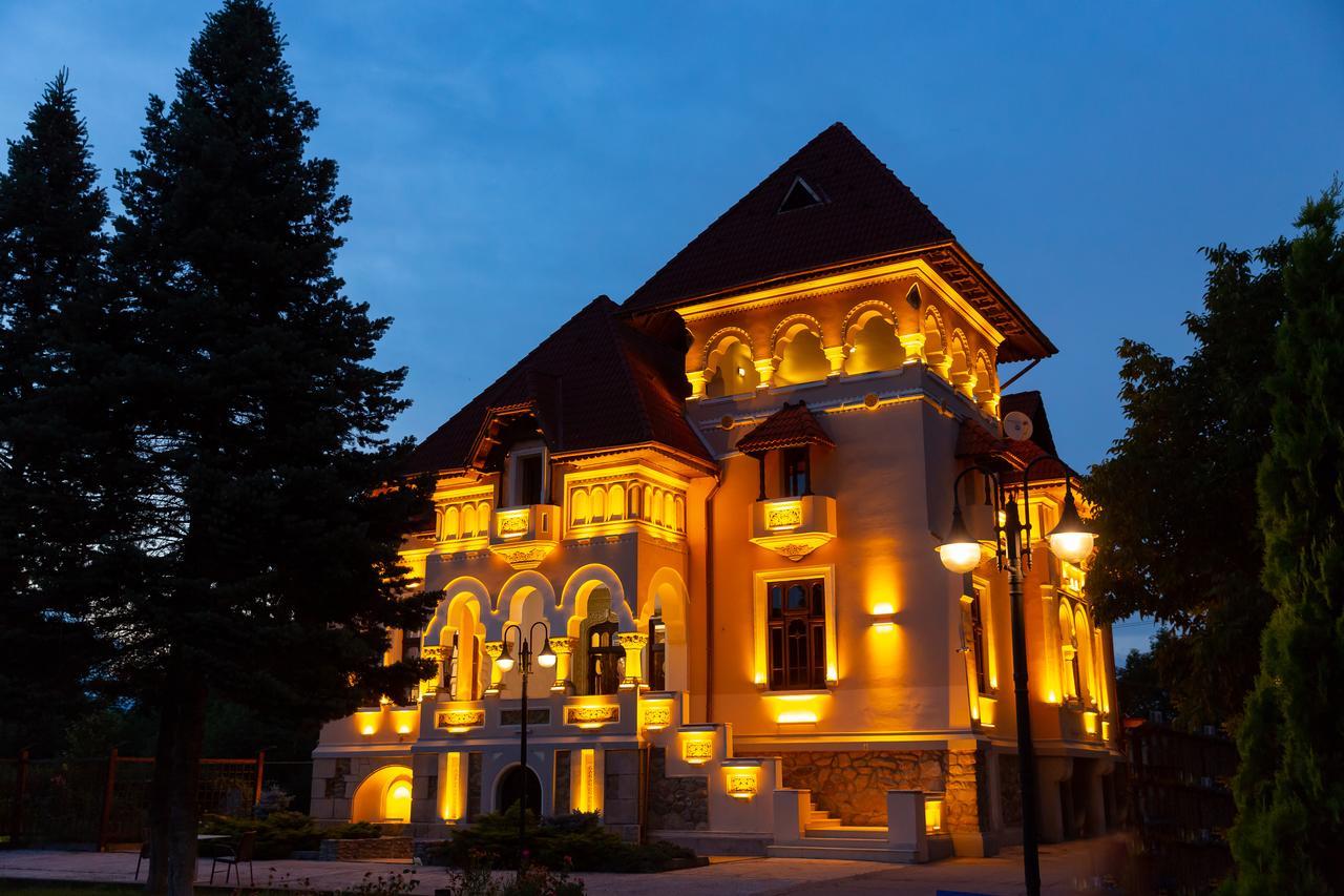 Hotel Casa Danielescu Târgu Jiu Zewnętrze zdjęcie